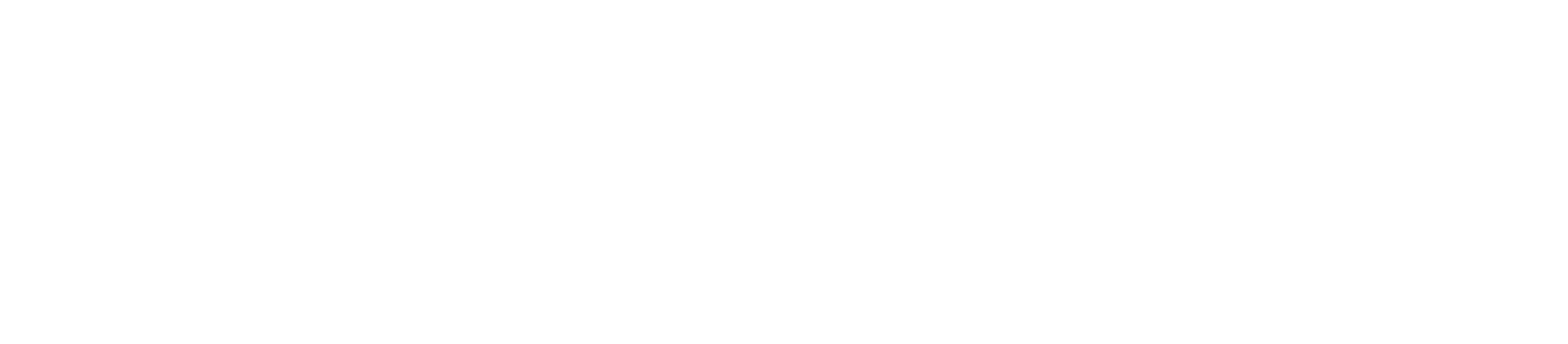 Q-SYS